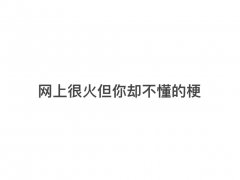 瀚语言雯学是什么意思？没文化的网友错别字连篇