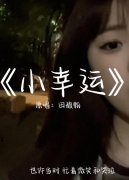 也许当时忙着微笑和哭泣是什么歌？歌词是什么意思？