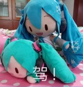 初生啊什么意思？表情包