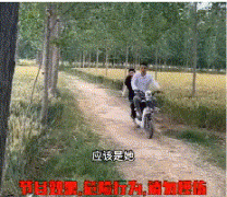 国服孙策教学是什么梗？表情包