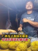 泰语和壮语为什么像，能交流吗，是一个语系吗