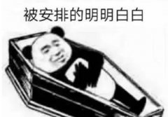 安排是什么意思？网络用语多种含义