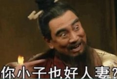 魏武遗风这个梗什么意思？喜欢别人老婆的特殊癖好