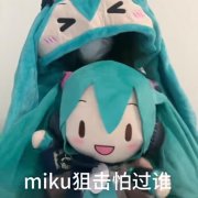 miku狙击怕过谁是什么意思？