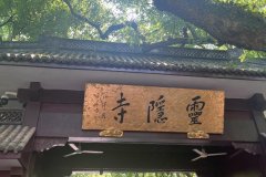 不同数量的珠子有什么寓意吗？最常见的6种数量和寓意来了