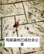 狗屎运是什么意思啊，为什么叫狗屎运