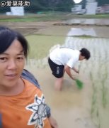 我家公子会插秧了什么意思？原视频