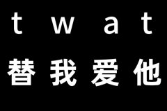 twit是什么意思？替我爱她、傻瓜、提瓦特