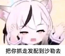 沙勒支教是什么意思？碧蓝档案表情包