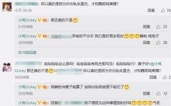 魏哲鸣承认已婚，老婆王岚说真正离婚原因
