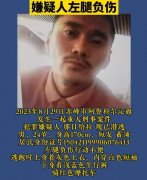 重大刑事案件有哪些？有一个口诀顺口溜一句概括
