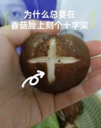 为什么要在香菇上划十字？竟然有至少三个原因！