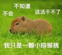 水豚精神是什么意思？水豚精神状态图片表情包