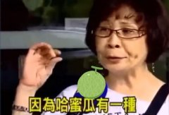 因为哈密瓜有一种哈味是什么意思？地铁有一种subway