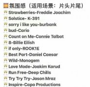 拍视频适合片头片尾充满氛围感的BGM歌单