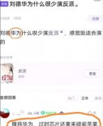 刘德华为什么不演反派是什么梗