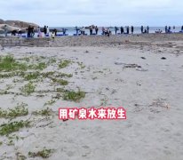放生矿泉水是怎么回事，什么意思？原来跟“施孤”习俗有关