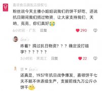 嘉顿抗日小饼干是什么意思