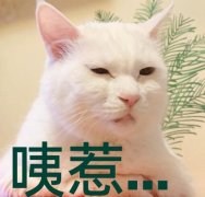 正确的洗澡顺序是这样的，很多人都搞错了！