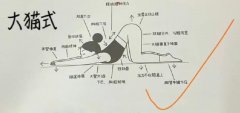 有助于提高怀孕几率的瑜伽动作分享