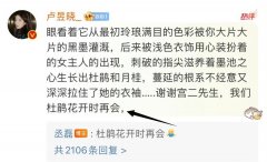 逗号文学是什么意思