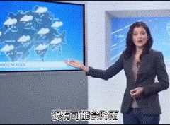 海公牛西班牙语什么意思？海公牛动图