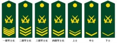 四拐两枪是什么军衔？职业军人，一级军士长