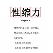 性缩力是什么意思，性张力的反义词！