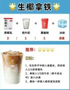 在家自制瑞星生椰拿铁的做法，简单！