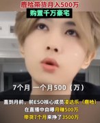 凌达乐怎么火的，凌达乐一年赚多少钱