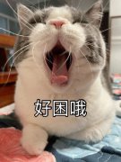 漫画上为什么睡觉用zzz表示，ZZZ已经被录入现代英汉词典