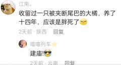 建庙是什么意思？网络用语