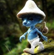 蓝精灵猫是什么品种？梗图片
