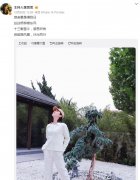 李思思为何离职，这几个原因是促使离职的可能原因