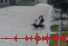 狗咬人怎么办，怎么应对？可以当场打死吗