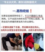 当狗攻击你的时候怎么防护？面对大型犬攻击时候的防护策略