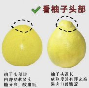 如何挑选皮薄肉甜的柚子,四个步骤教会你