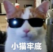 小猫牢底什么意思？小猫牢底表情包