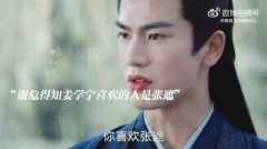 谢危和雪宁最后在一起了吗，什么时候在一起的