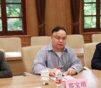 郑宝用福建哪里人，郑宝用在华为的职务和地位，仅次任正非