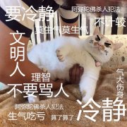 一吵架就不说话是什么心理？是一种心理防御机制