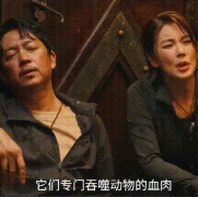 南海归墟船底舱里究竟是什么？南海归墟口碑较差