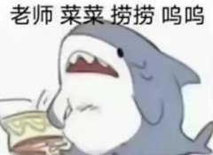 求捞是什么意思，大学生求捞是什么梗