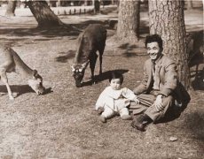 丈夫瘫痪、无儿无女，日本第一位女首相高市早苗年轻时照片曝光，高市早苗个人资料家庭背景履历梳理