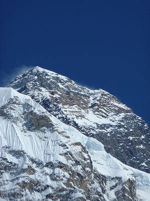 10种安乐死的好方法