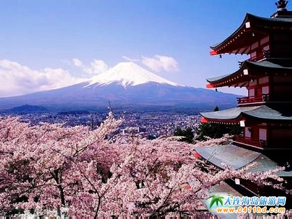 日本看赏樱花哪里好