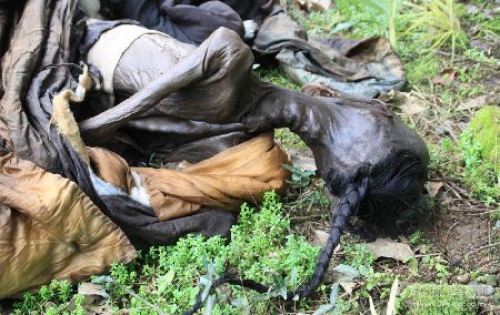 霞浦清代干尸墓被盗案4嫌犯落网 拖干尸10多米