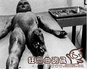 ufo外星人被抓,人类曾活抓外星人