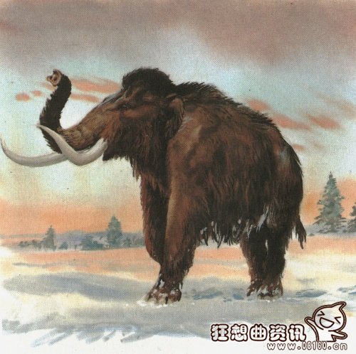 远古恐龙有可能再复活吗?远古猛犸象或可复活