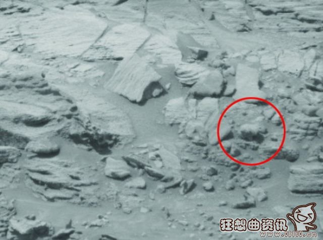 1446011816122974.jpg 234cf941a07b32c4510476a55f385f4b.jpg